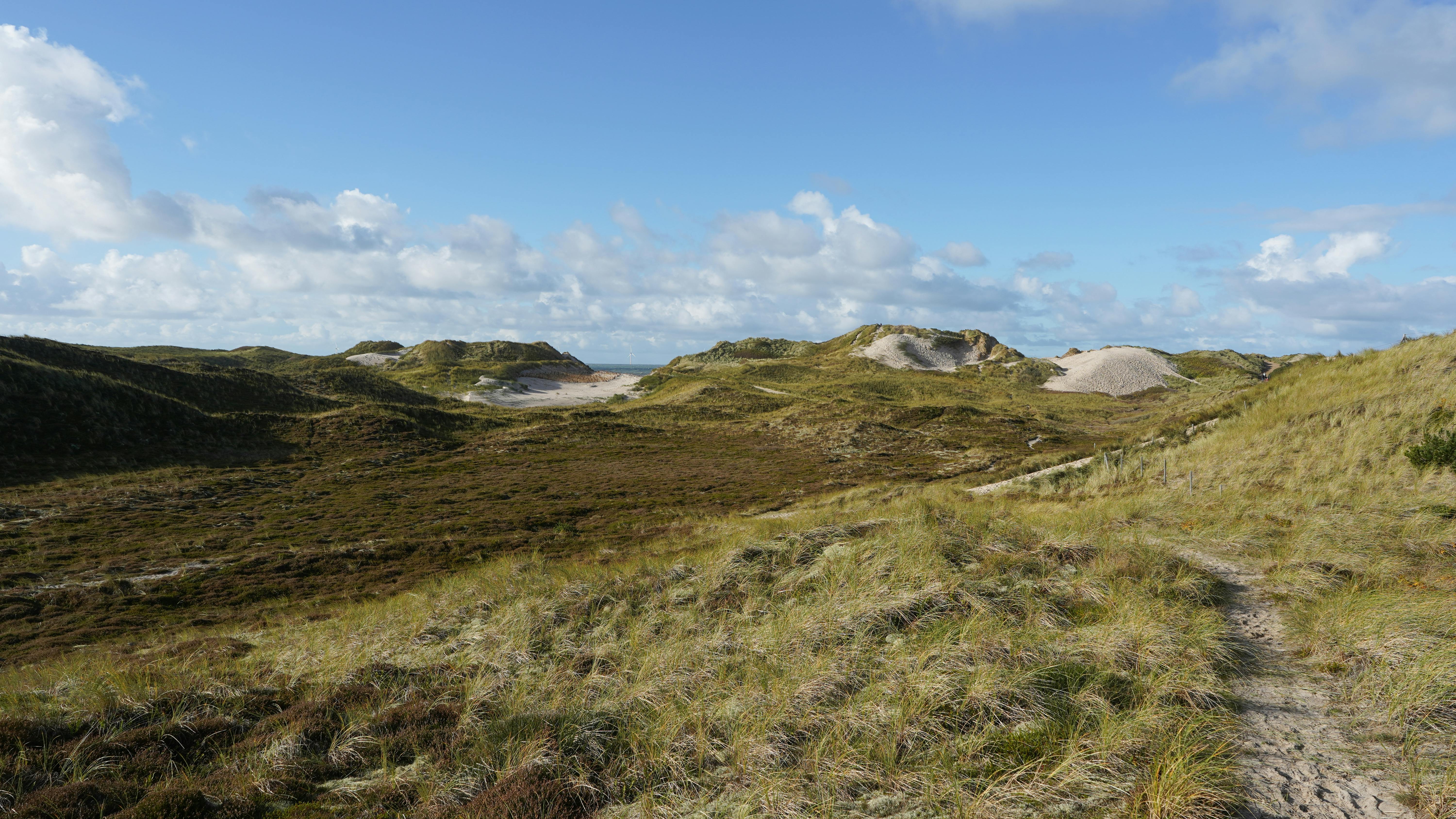 IP Processing Software